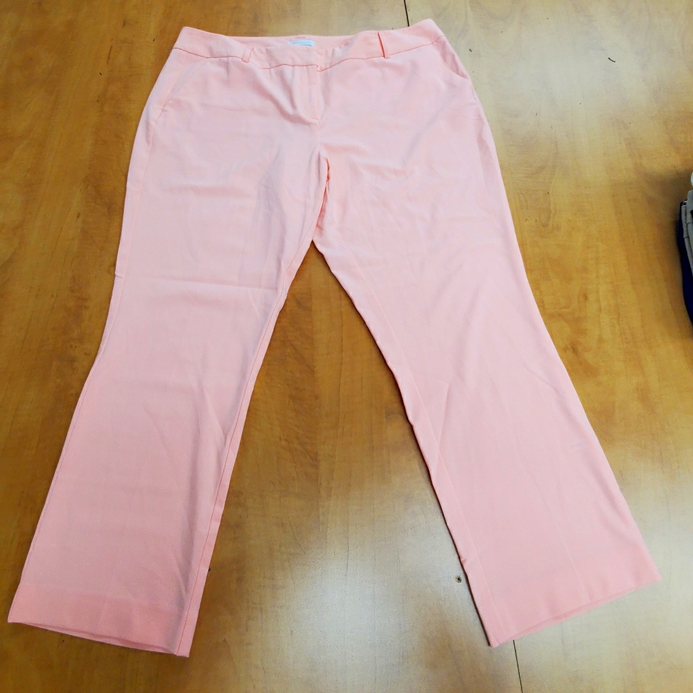 Slack Pants